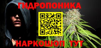 трава Лесосибирск