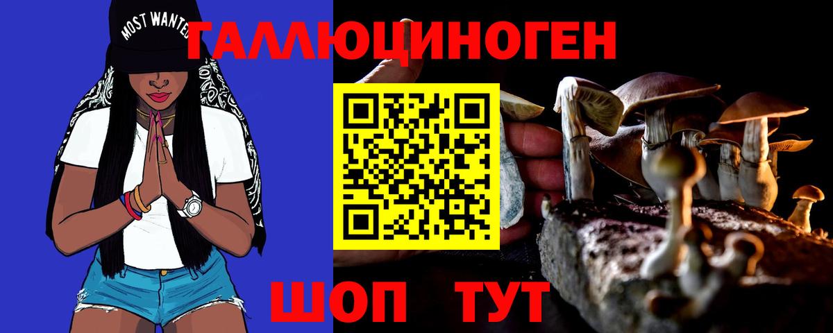 Галлюциногенные грибы Cubensis  наркошоп  Верхний Уфалей  Вход с VPN 